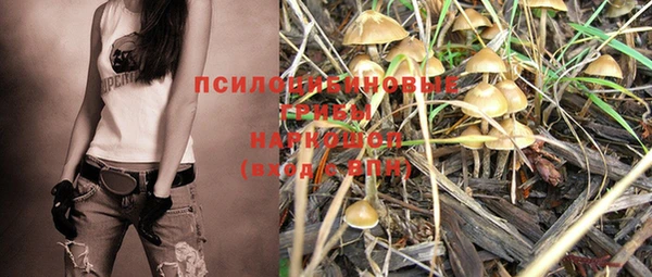 MDMA Дмитровск