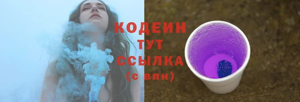 дурь Ладушкин
