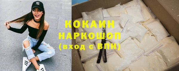 индика Лабытнанги