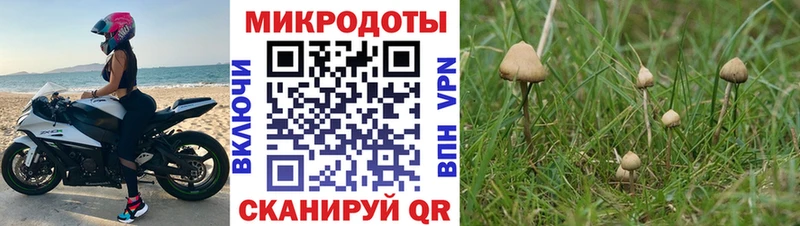 Галлюциногенные грибы Psilocybe  сколько стоит  Перевоз 